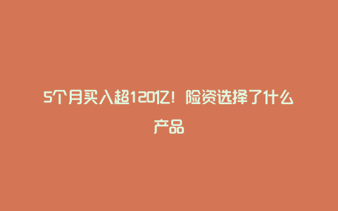 5个月买入超120亿！险资选择了什么产品