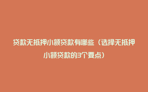 贷款无抵押小额贷款有哪些（选择无抵押小额贷款的3个要点）