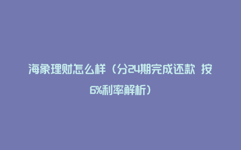 海象理财怎么样（分24期完成还款 按6%利率解析）