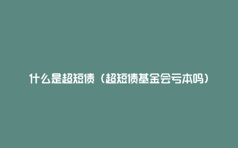 什么是超短债（超短债基金会亏本吗）