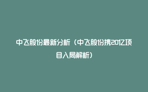 中飞股份最新分析（中飞股份携20亿项目入局解析）