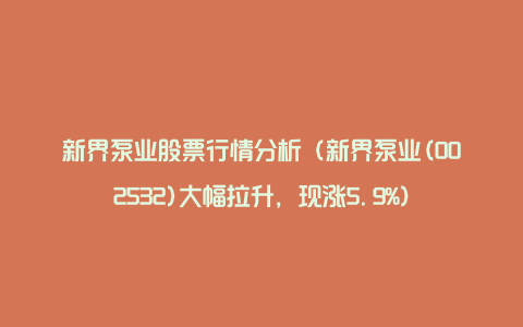 新界泵业股票行情分析（新界泵业(002532)大幅拉升，现涨5.9%）