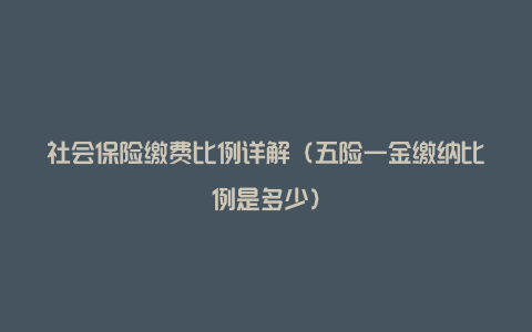 社会保险缴费比例详解（五险一金缴纳比例是多少）