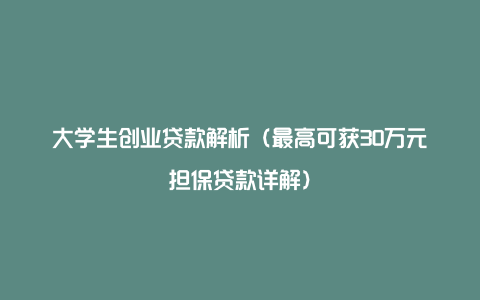 大学生创业贷款解析（最高可获30万元担保贷款详解）