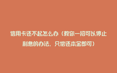 信用卡还不起怎么办（教你一招可以停止利息的办法，只偿还本金即可）