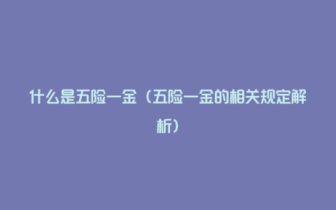 什么是五险一金（五险一金的相关规定解析）