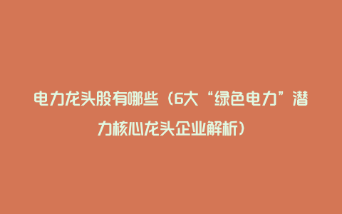 电力龙头股有哪些（6大“绿色电力”潜力核心龙头企业解析）