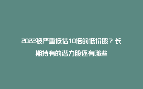 2022被严重低估10倍的低价股？长期持有的潜力股还有哪些