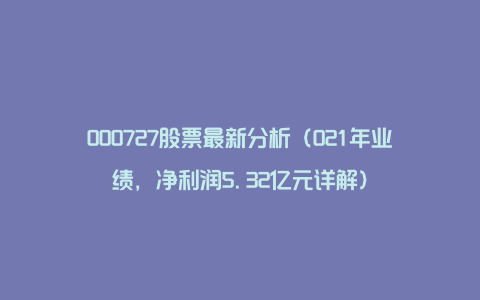 000727股票最新分析（021年业绩，净利润5.32亿元详解）