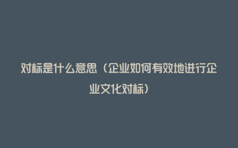 对标是什么意思（企业如何有效地进行企业文化对标）