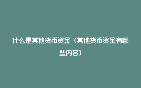 什么是其他货币资金（其他货币资金有哪些内容）