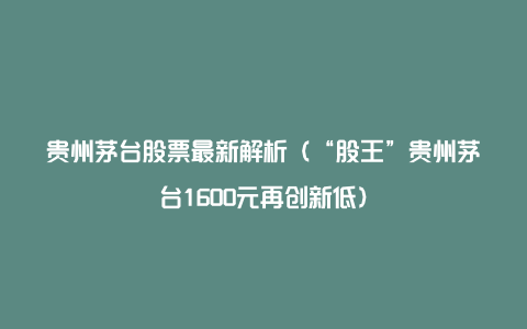 贵州茅台股票最新解析（“股王”贵州茅台1600元再创新低）