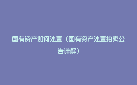 国有资产如何处置（国有资产处置拍卖公告详解）