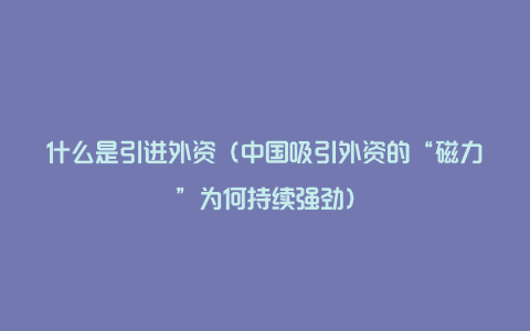 什么是引进外资（中国吸引外资的“磁力”为何持续强劲）