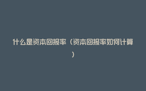 什么是资本回报率（资本回报率如何计算）