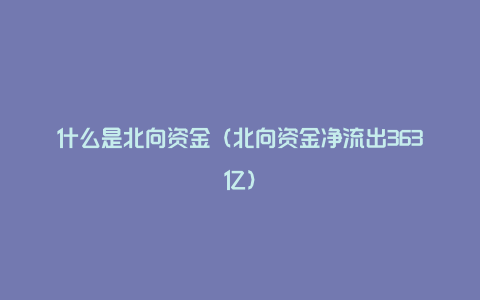 什么是北向资金（北向资金净流出363亿）