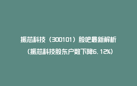 振芯科技（300101）股吧最新解析（振芯科技股东户数下降6.12%）