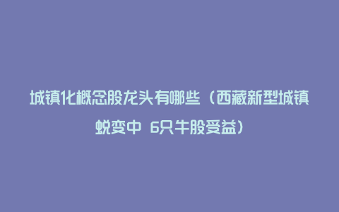 城镇化概念股龙头有哪些（西藏新型城镇蜕变中 6只牛股受益）