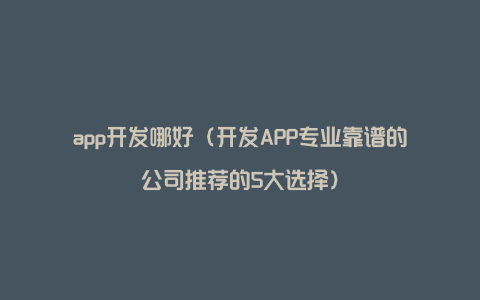 app开发哪好（开发APP专业靠谱的公司推荐的5大选择）