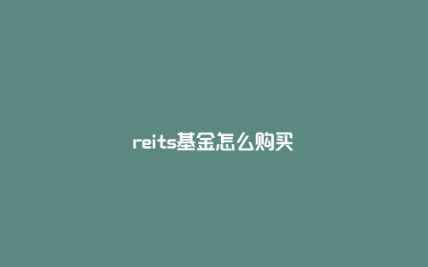 reits基金怎么购买