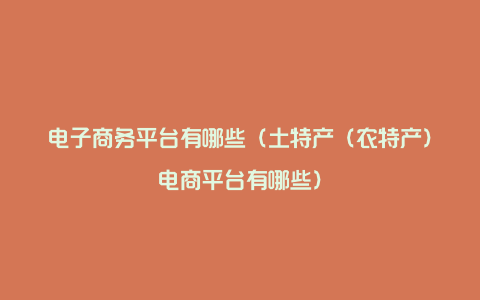 电子商务平台有哪些（土特产（农特产）电商平台有哪些）