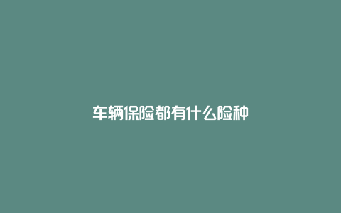 车辆保险都有什么险种