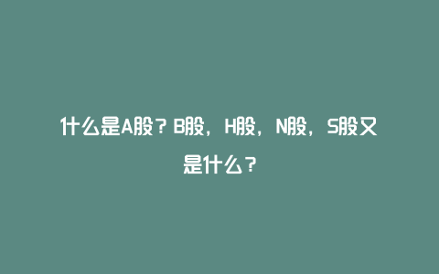 什么是A股？B股，H股，N股，S股又是什么？