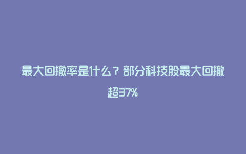 最大回撤率是什么？部分科技股最大回撤超37%