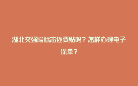 湖北交强险标志还要贴吗？怎样办理电子保单？