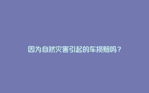 因为自然灾害引起的车损赔吗？